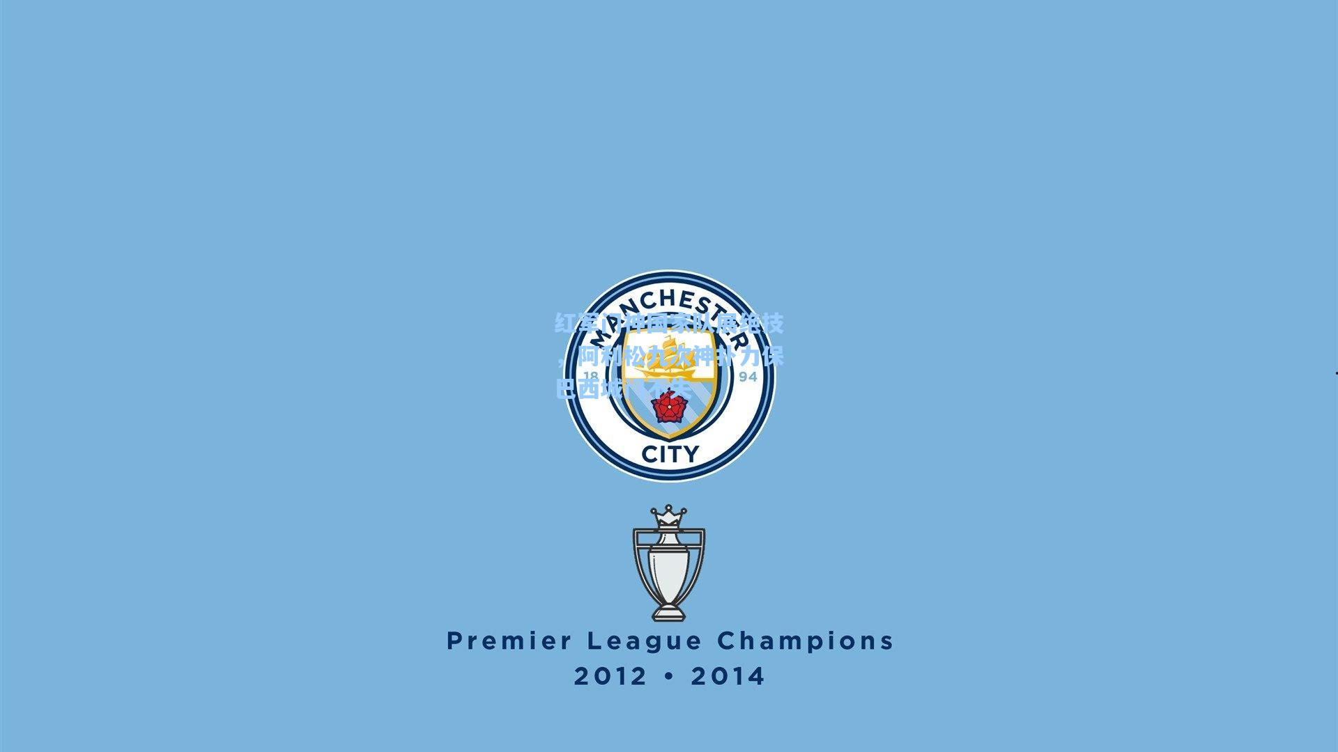 红军门神国家队展绝技，阿利松九次神扑力保巴西城门不失