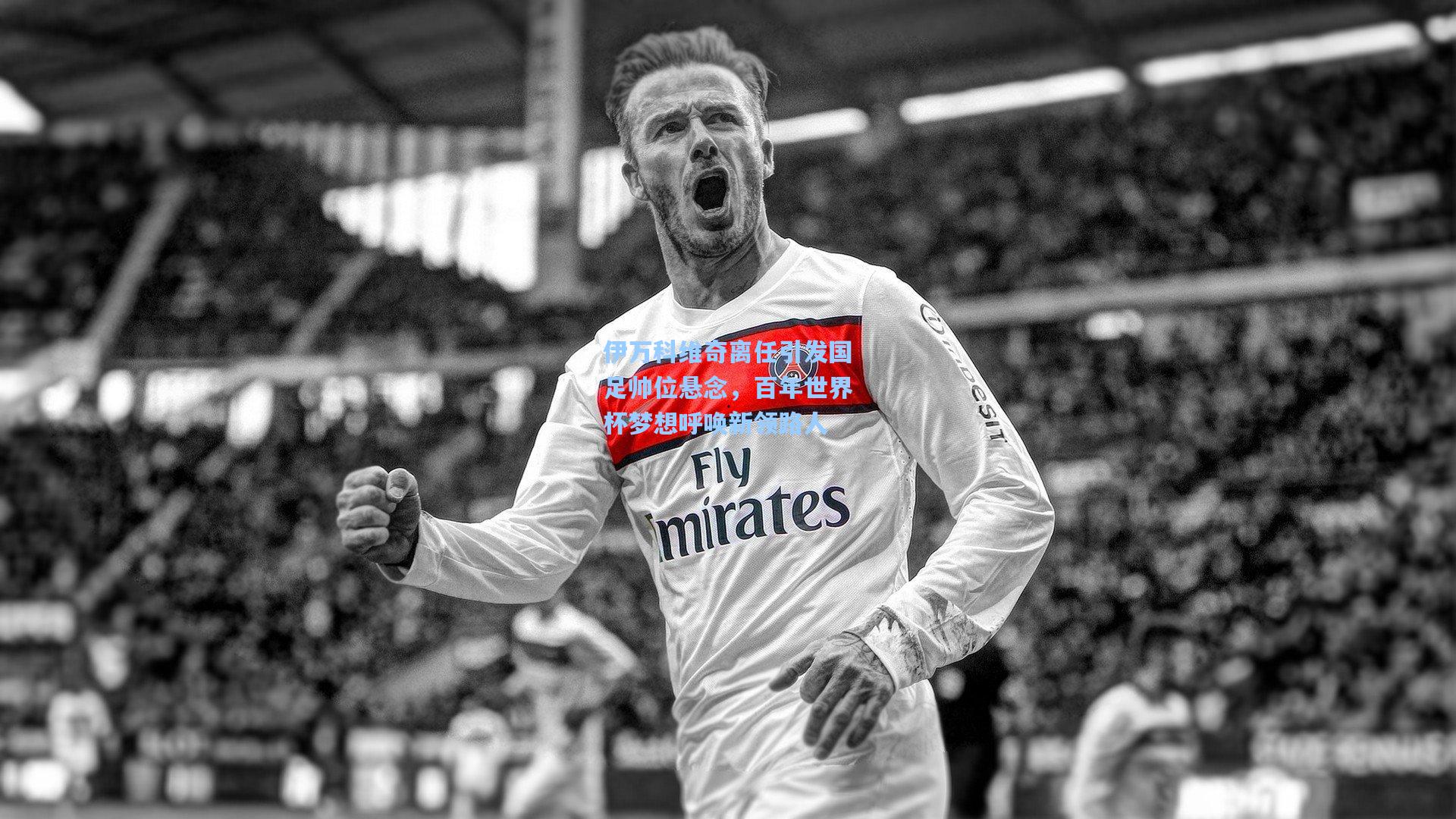 伊万科维奇离任引发国足帅位悬念,百年世界杯梦想呼唤新领路人